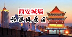 插菊花1美女被操视频中国陕西-西安城墙旅游风景区